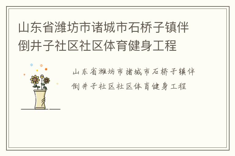 山东省潍坊市诸城市石桥子镇伴倒井子社区社区体育健身工程