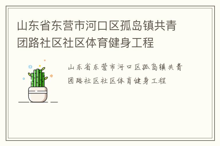 山东省东营市河口区孤岛镇共青团路社区社区体育健身工程