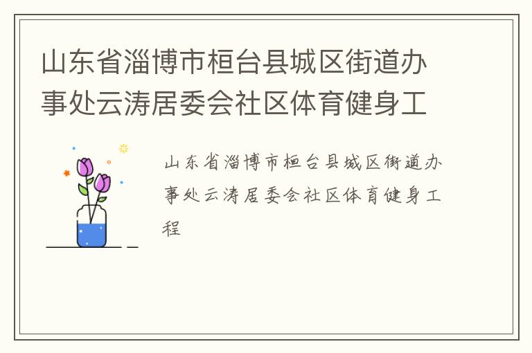 山东省淄博市桓台县城区街道办事处云涛居委会社区体育健身工程