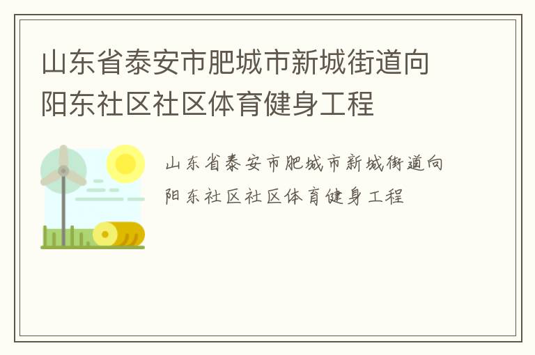 山东省泰安市肥城市新城街道向阳东社区社区体育健身工程