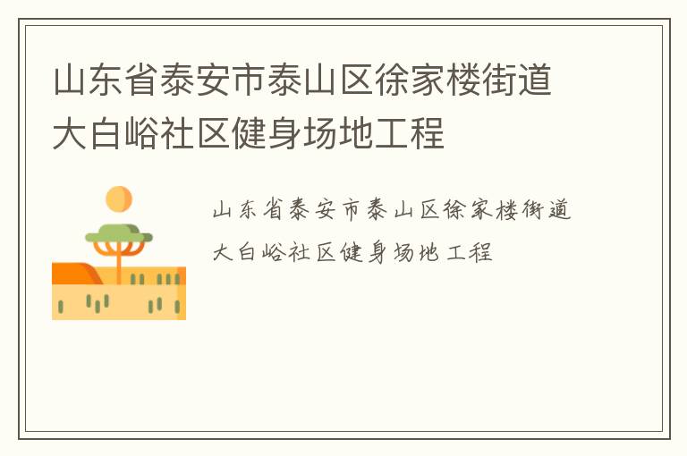 山东省泰安市泰山区徐家楼街道大白峪社区健身场地工程