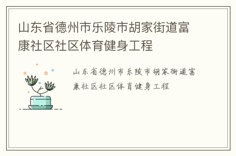 山东省德州市乐陵市胡家街道富康社区社区体育健身工程