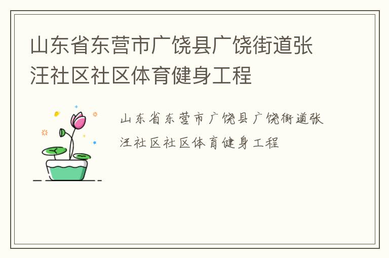 山东省东营市广饶县广饶街道张汪社区社区体育健身工程