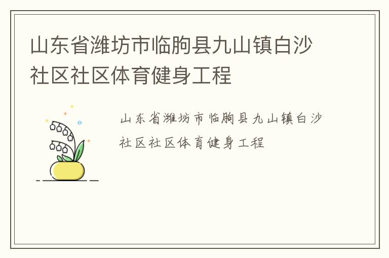 山东省潍坊市临朐县九山镇白沙社区社区体育健身工程