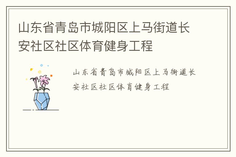 山东省青岛市城阳区上马街道长安社区社区体育健身工程