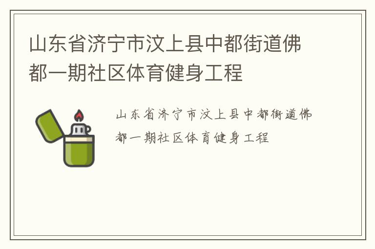 山东省济宁市汶上县中都街道佛都一期社区体育健身工程