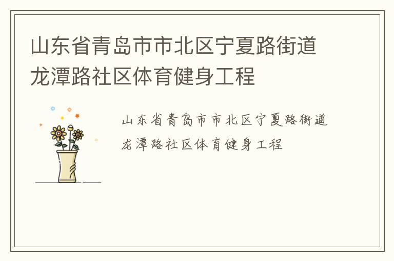 山东省青岛市市北区宁夏路街道龙潭路社区体育健身工程