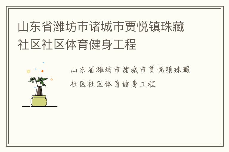 山东省潍坊市诸城市贾悦镇珠藏社区社区体育健身工程