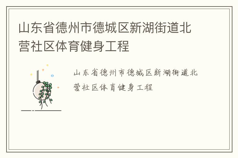 山东省德州市德城区新湖街道北营社区体育健身工程