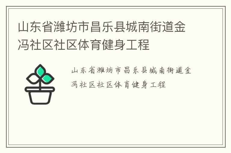 山东省潍坊市昌乐县城南街道金冯社区社区体育健身工程