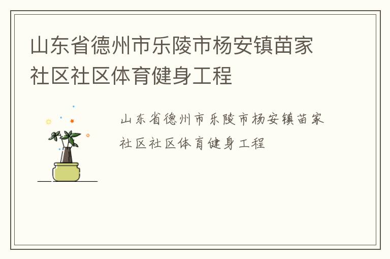山东省德州市乐陵市杨安镇苗家社区社区体育健身工程