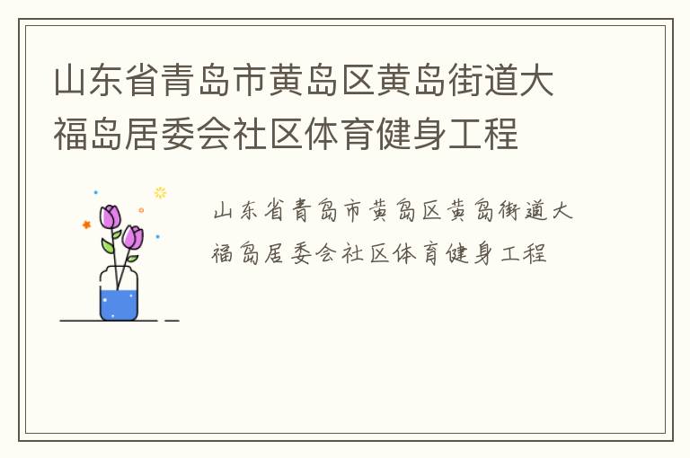 山东省青岛市黄岛区黄岛街道大福岛居委会社区体育健身工程