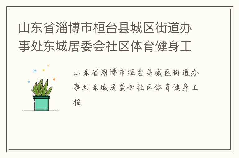 山东省淄博市桓台县城区街道办事处东城居委会社区体育健身工程