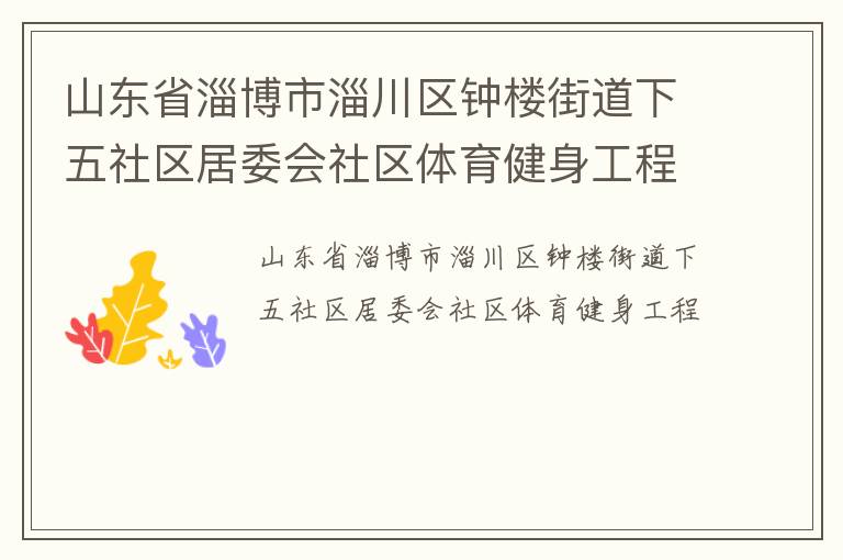 山东省淄博市淄川区钟楼街道下五社区居委会社区体育健身工程