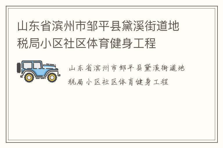 山东省滨州市邹平县黛溪街道地税局小区社区体育健身工程