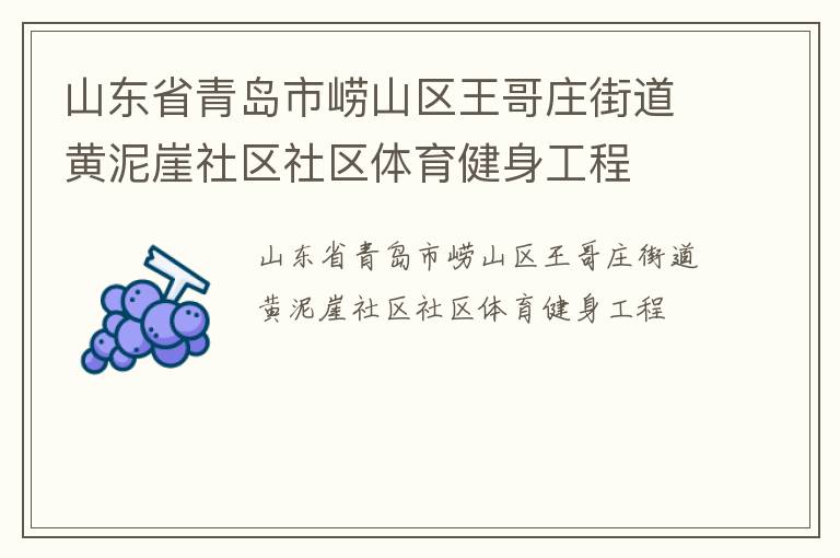山东省青岛市崂山区王哥庄街道黄泥崖社区社区体育健身工程