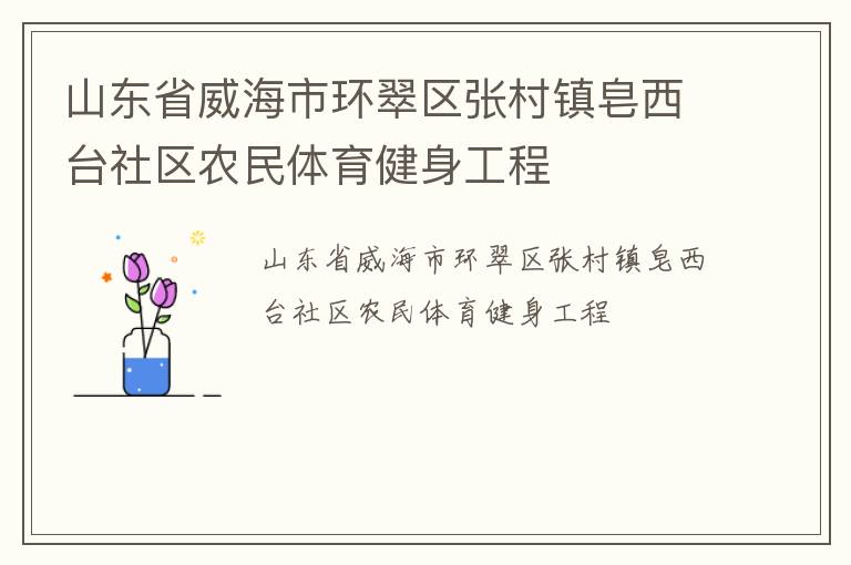 山东省威海市环翠区张村镇皂西台社区农民体育健身工程