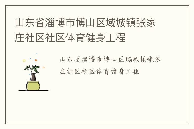 山东省淄博市博山区域城镇张家庄社区社区体育健身工程