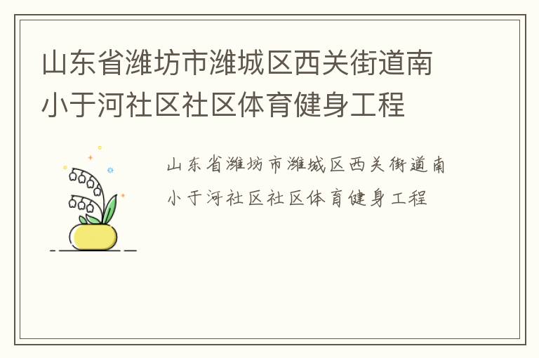 山东省潍坊市潍城区西关街道南小于河社区社区体育健身工程