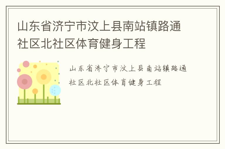 山东省济宁市汶上县南站镇路通社区北社区体育健身工程