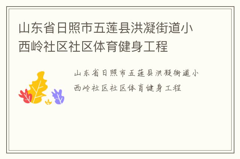 山东省日照市五莲县洪凝街道小西岭社区社区体育健身工程