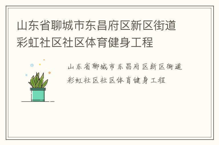 山东省聊城市东昌府区新区街道彩虹社区社区体育健身工程