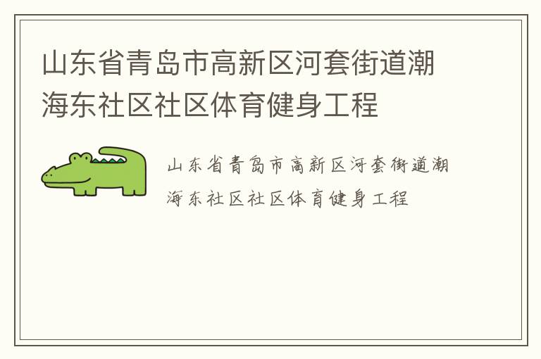 山东省青岛市高新区河套街道潮海东社区社区体育健身工程