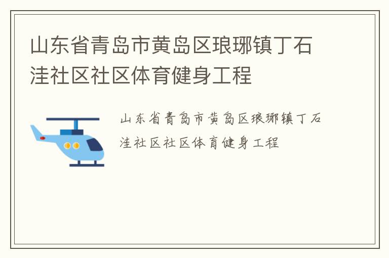 山东省青岛市黄岛区琅琊镇丁石洼社区社区体育健身工程