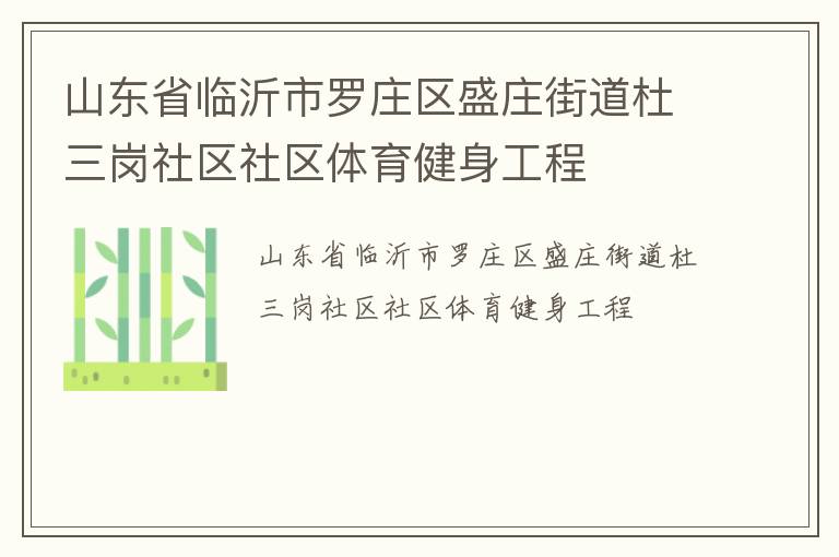 山东省临沂市罗庄区盛庄街道杜三岗社区社区体育健身工程