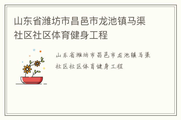 山东省潍坊市昌邑市龙池镇马渠社区社区体育健身工程