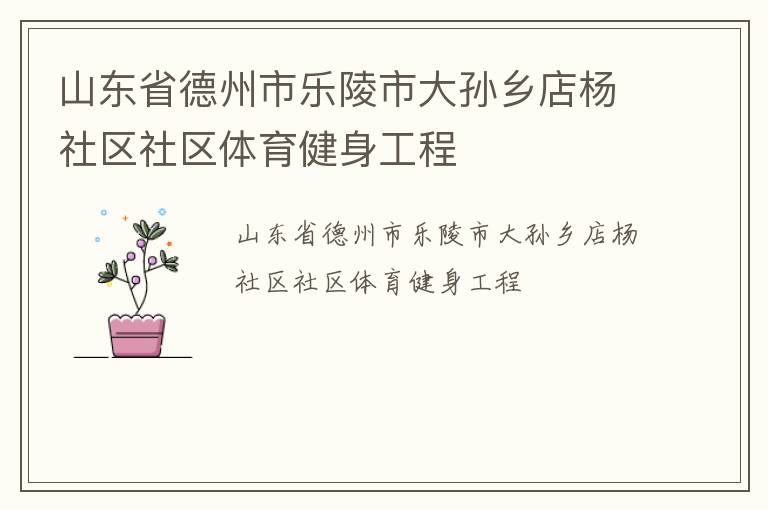 山东省德州市乐陵市大孙乡店杨社区社区体育健身工程