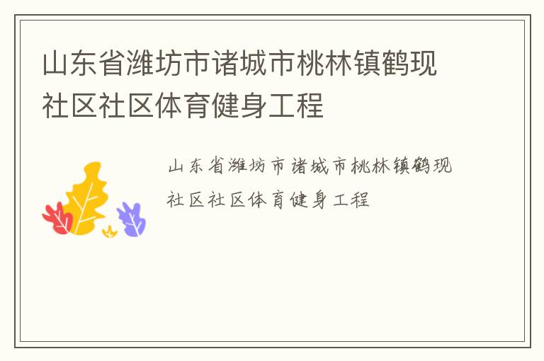 山东省潍坊市诸城市桃林镇鹤现社区社区体育健身工程