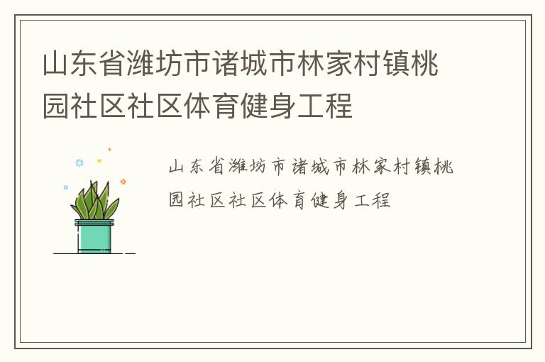 山东省潍坊市诸城市林家村镇桃园社区社区体育健身工程