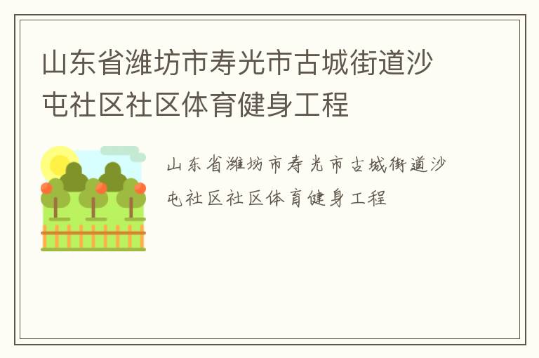 山东省潍坊市寿光市古城街道沙屯社区社区体育健身工程