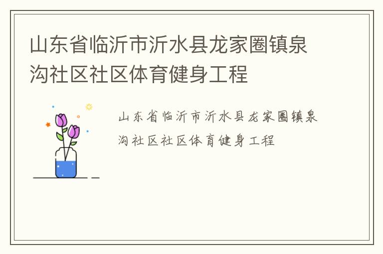 山东省临沂市沂水县龙家圈镇泉沟社区社区体育健身工程