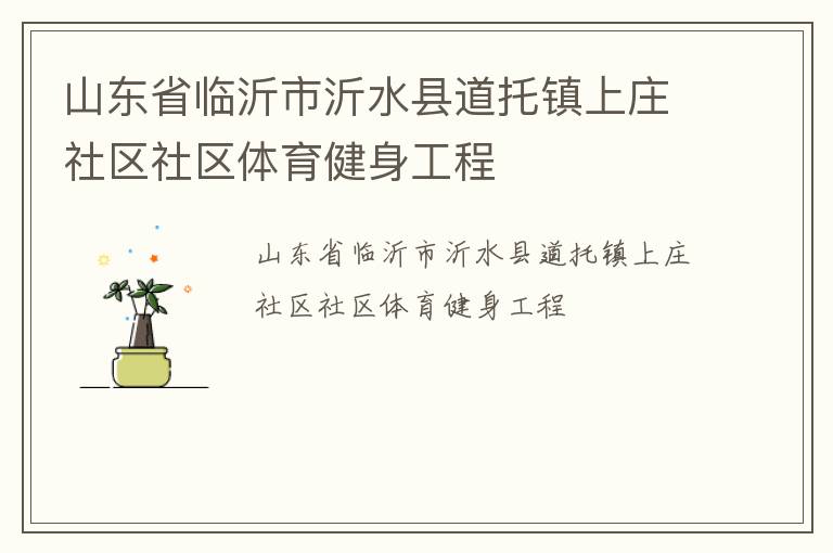 山东省临沂市沂水县道托镇上庄社区社区体育健身工程