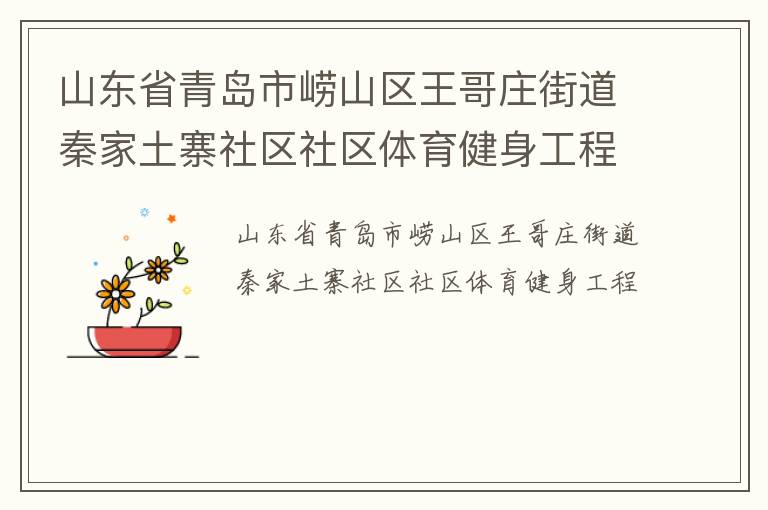 山东省青岛市崂山区王哥庄街道秦家土寨社区社区体育健身工程