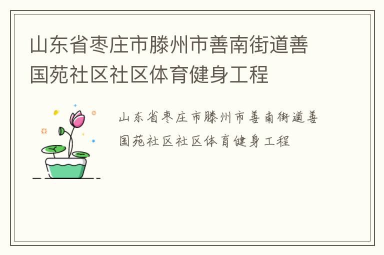 山东省枣庄市滕州市善南街道善国苑社区社区体育健身工程