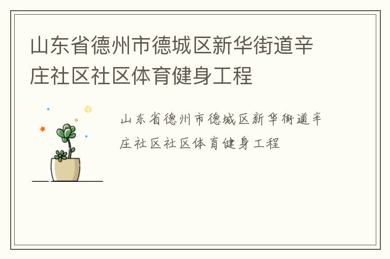 山东省德州市德城区新华街道辛庄社区社区体育健身工程