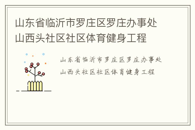 山东省临沂市罗庄区罗庄办事处山西头社区社区体育健身工程