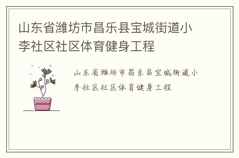 山东省潍坊市昌乐县宝城街道小李社区社区体育健身工程