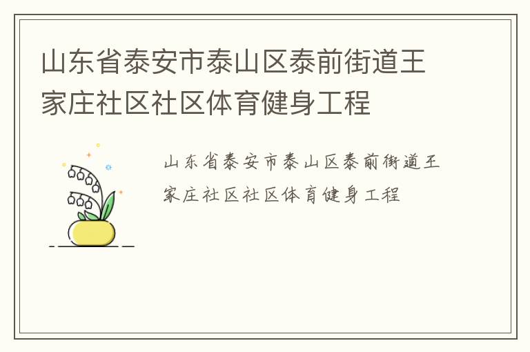 山东省泰安市泰山区泰前街道王家庄社区社区体育健身工程