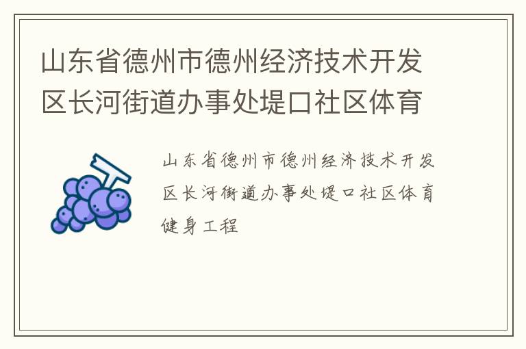 山东省德州市德州经济技术开发区长河街道办事处堤口社区体育健身工程