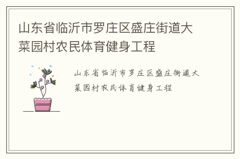 山东省临沂市罗庄区盛庄街道大菜园村农民体育健身工程