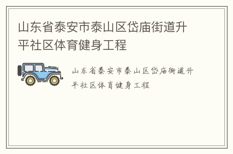 山东省泰安市泰山区岱庙街道升平社区体育健身工程