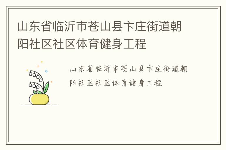 山东省临沂市苍山县卞庄街道朝阳社区社区体育健身工程