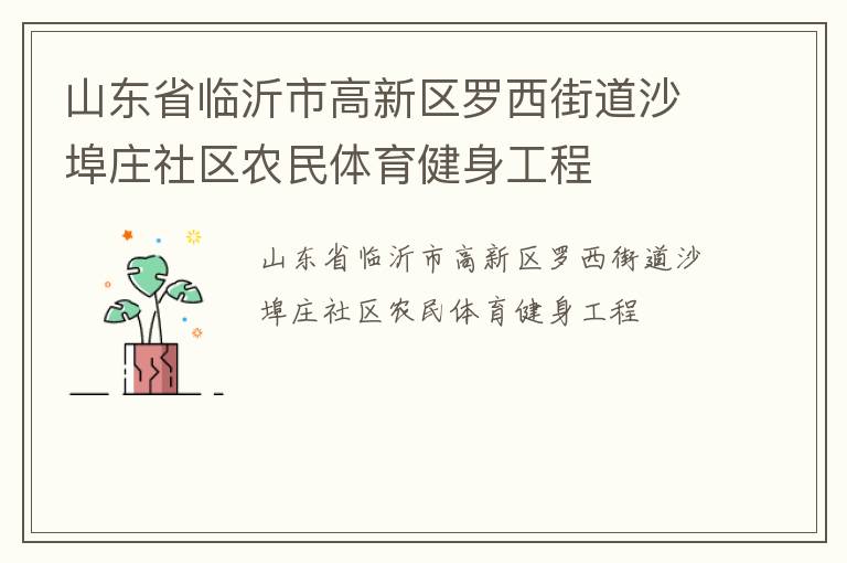山东省临沂市高新区罗西街道沙埠庄社区农民体育健身工程