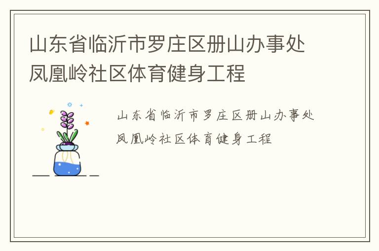 山东省临沂市罗庄区册山办事处凤凰岭社区体育健身工程