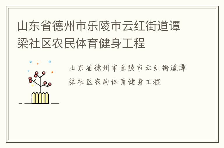 山东省德州市乐陵市云红街道谭梁社区农民体育健身工程