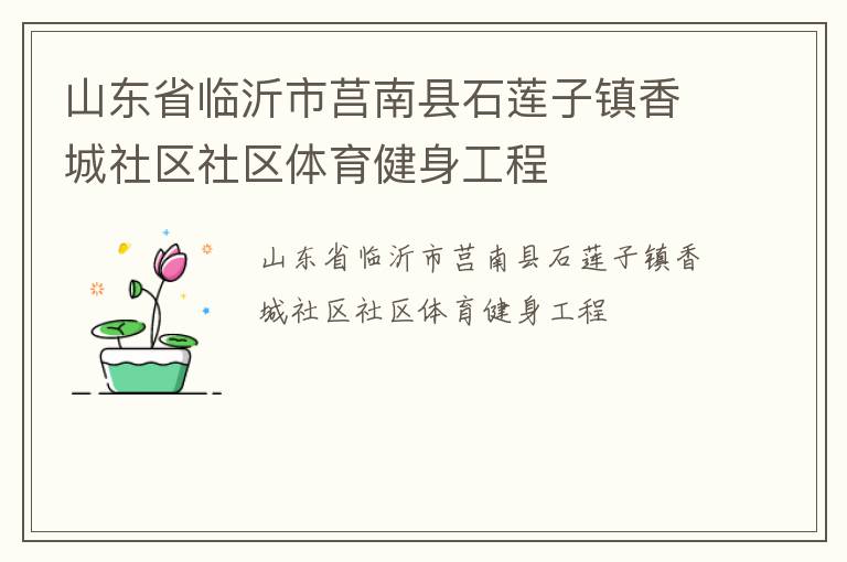 山东省临沂市莒南县石莲子镇香城社区社区体育健身工程